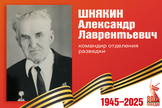 Родные защитники - с нами в строю.  Александр Шнякин