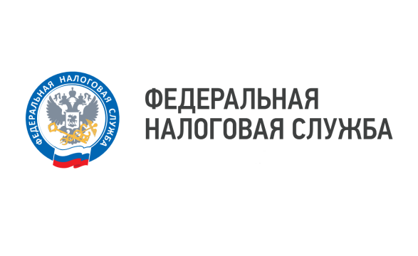 Петр Воронин: Налоговая служба – важнейшее звено экономической стабильности страны